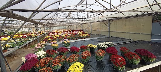 Serres Noël Moronval, Jardinerie à Sainte-Gemme-Moronval