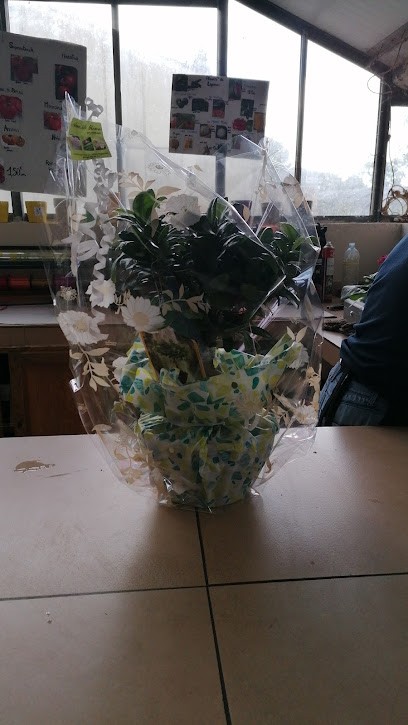 Aux Mille Fleurs, Jardinerie à Puget-Ville