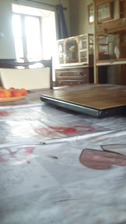 Gamm Vert, Jardinerie à Saint-Pierre-le-Moûtier