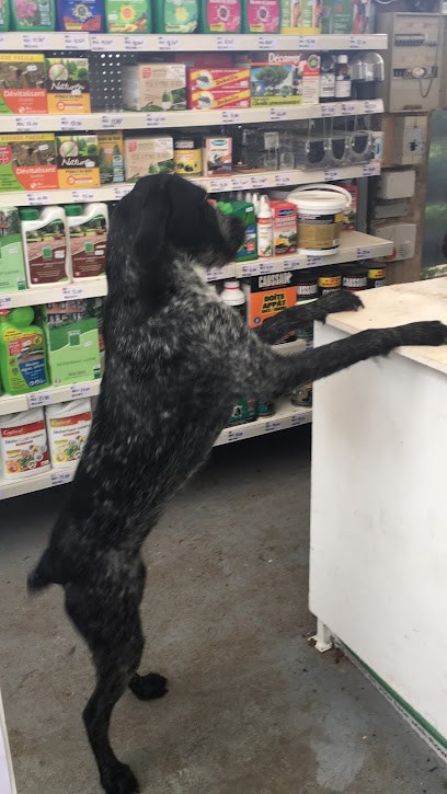 Jardinerie de la Vallée, Jardinerie à Puiseaux