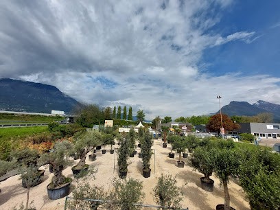Nature Plants And Harmony ... (Garden), Jardinerie à Saint-Martin-le-Vinoux