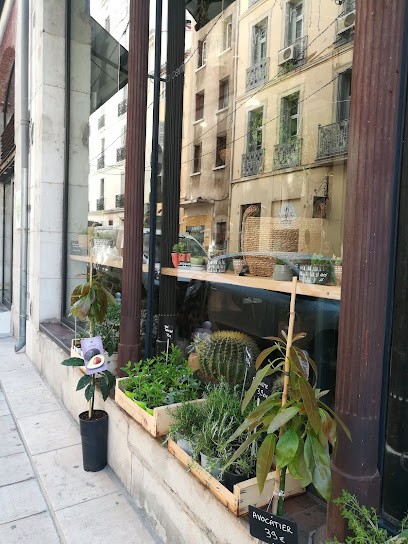 Cocoon Coffee X Vegetals, Jardinerie à Toulon