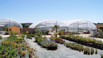 Les Serres Poitevines, Jardinerie à Saint-Savin