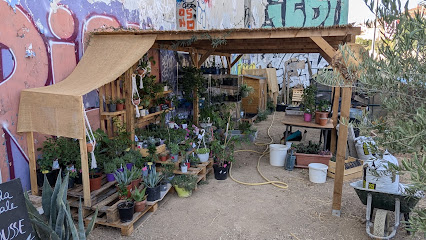 Nouvelle Pousse, Ressourcerie Végétale, Jardinerie à Marseille 03